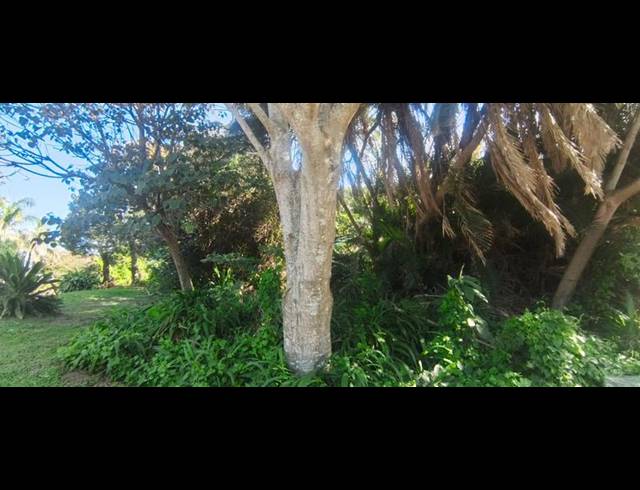 LAND FOR SALE IN GLENMORE BEACH